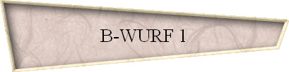 B-WURF 1